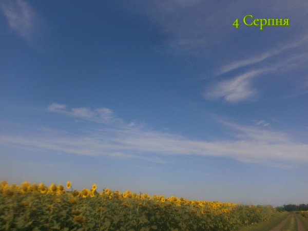 4 Серпня