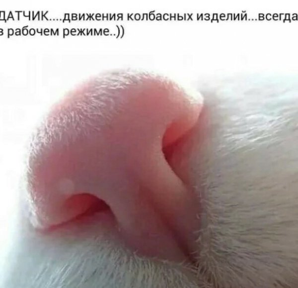 Датчик )