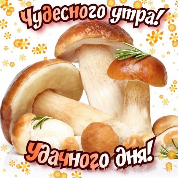 Всем и каждому!