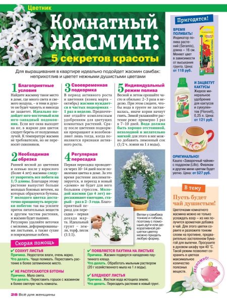 Комнатный жасмин
