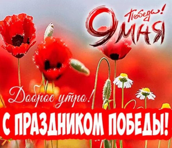 0df8f6daf42a44589dfd25a0c7ba5713