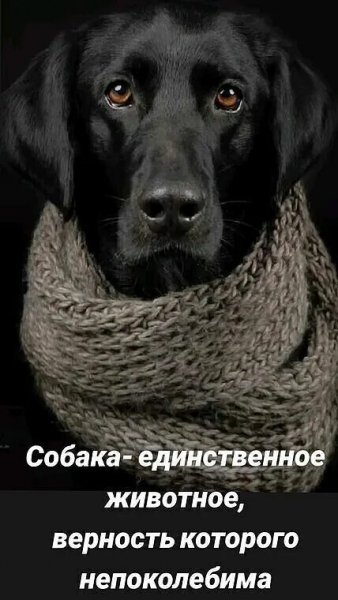 Так!