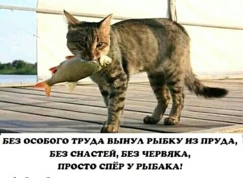 Спёр у рыбака!