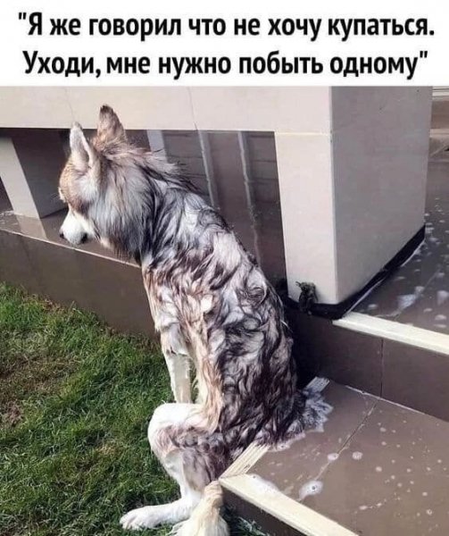L8IZVG0l-tJk8u-QWQwnQdBDuerlSJF5ARs7nwUUFbk7uIb0kC vQC