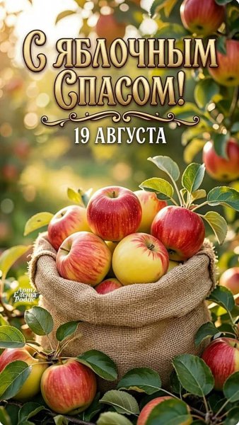 IMG 20260819 062747 002