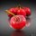 a983aa3152804c7f018e3165e1d9869c3370