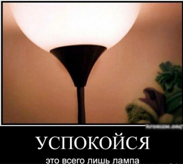 B2b0338d7c70175619