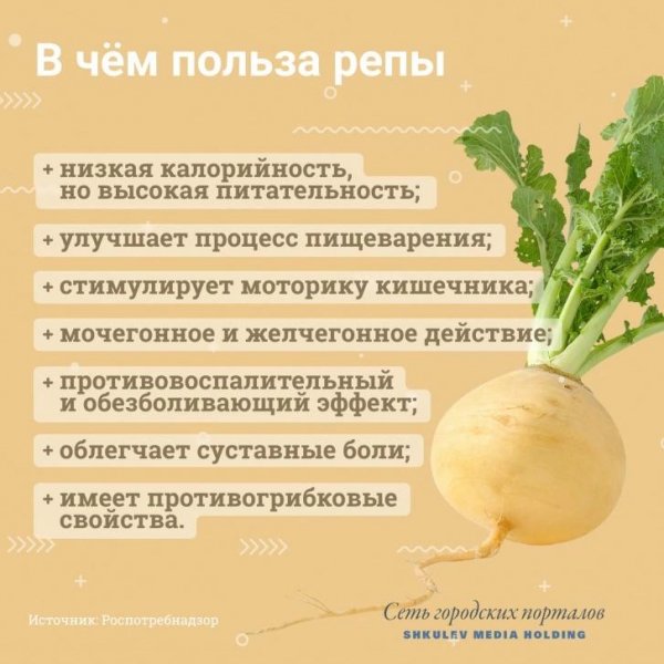 Репа