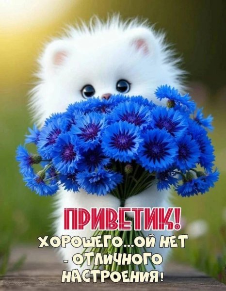 IMG 20260816 073045 173