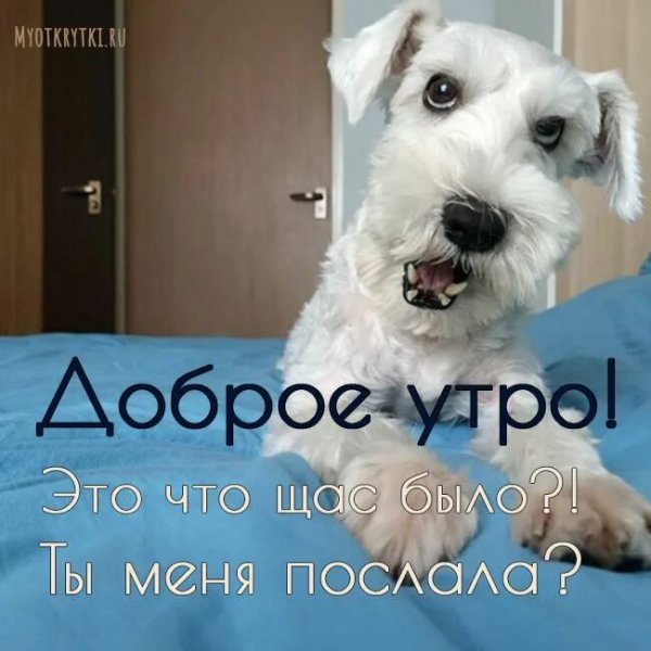 Доброе утро!