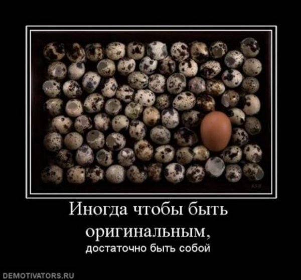 Верные слова!