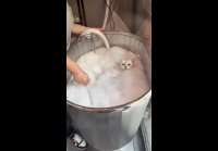 Сейчас бы чилить, как этот кот, а не вот это вот всё