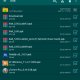 RAR 5.60.build49 (armv7) Patched (Green Mod)
