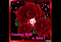 image (85)
