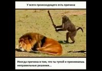 video_109200790