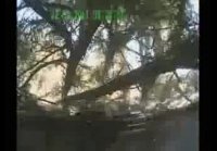 6 Подборка авирий и драк на наших дорога