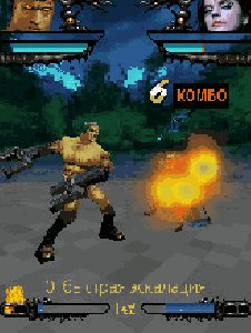 True Fighting 3D v3 ru