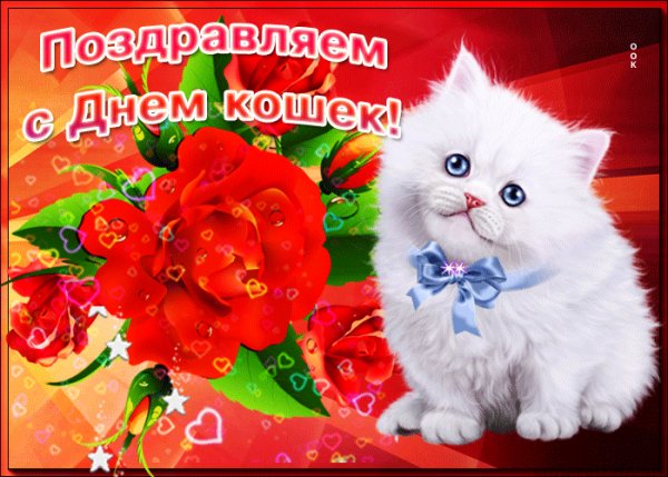 1 марта