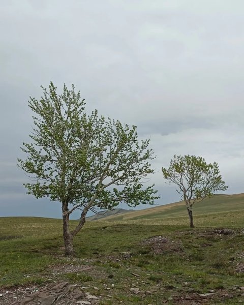 IMG 20250523 002107