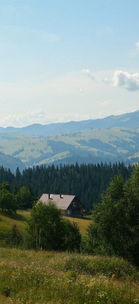 file_100466861