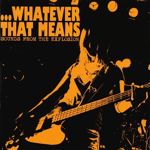 ...Whatever That Means - The Explosion (Hidden Track)