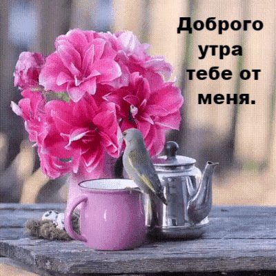 Доброе утро