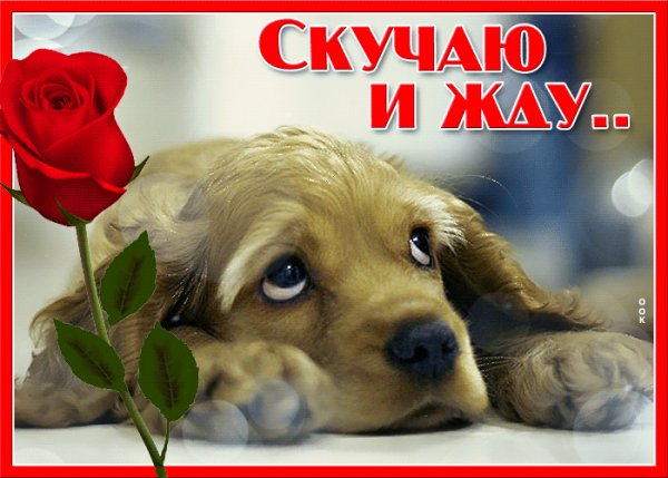 file_99008128