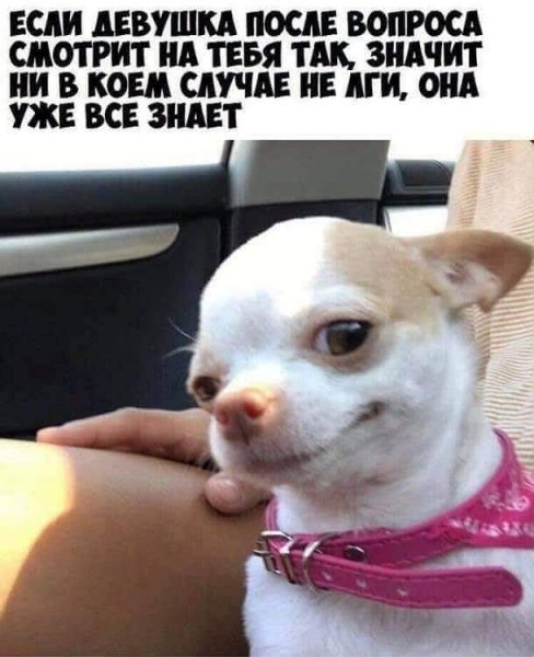 FB IMG 1757358005912