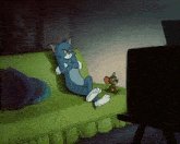 Mirando-television-gato