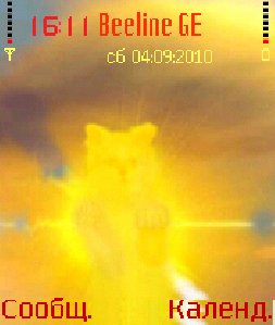 solar kitten 0 1