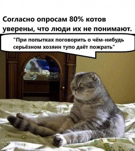 FB IMG 1757358120754