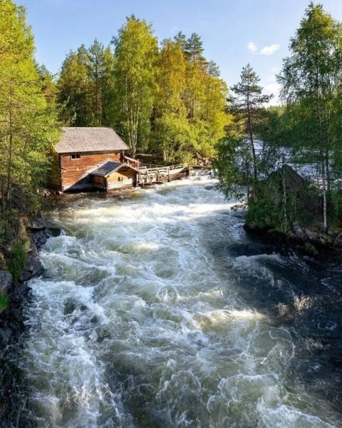 file_100009306