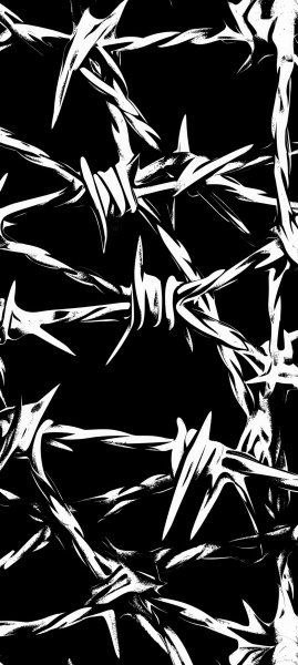 adapted 1080x2408 1756628944