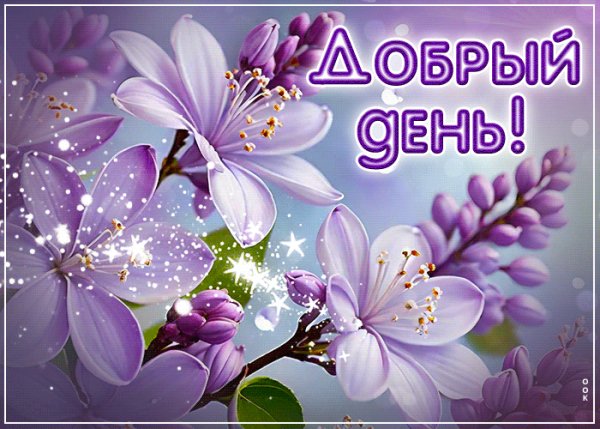 file_99149933