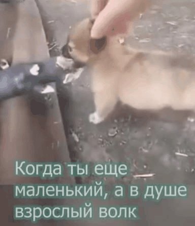 IMG 20230718 170814
