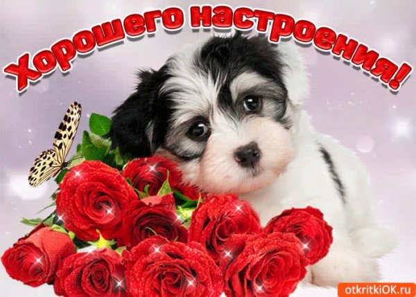 IMG-20250513-WA0054