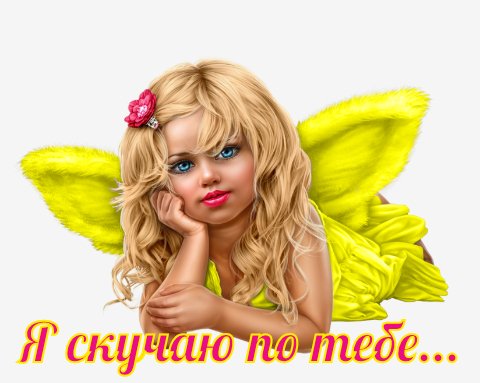 IMG 20210805 213640