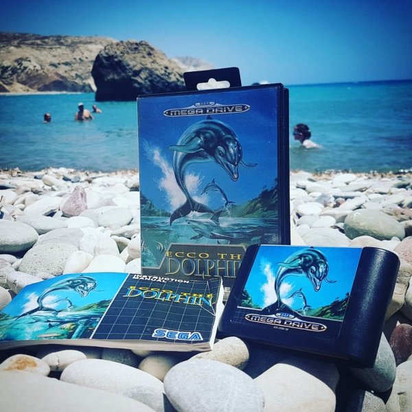 Ecco The Dolphin Sega
