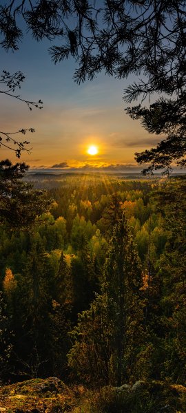file_100463487