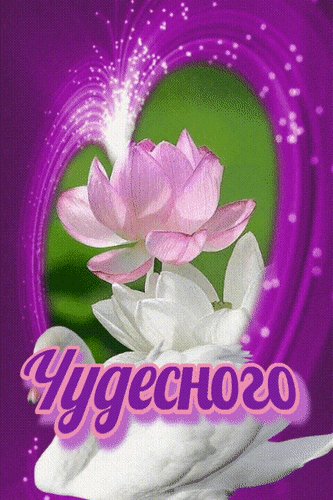 Анимированная открытка удачного дня (2)