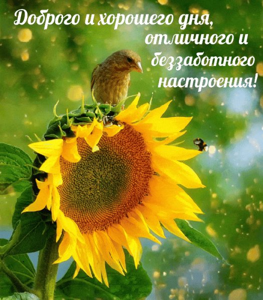 Добрый день