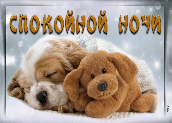file_99127240