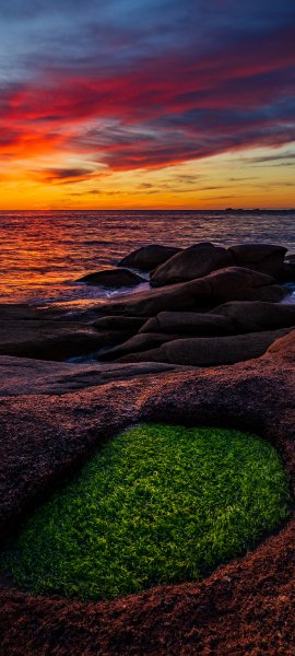 file_100480107