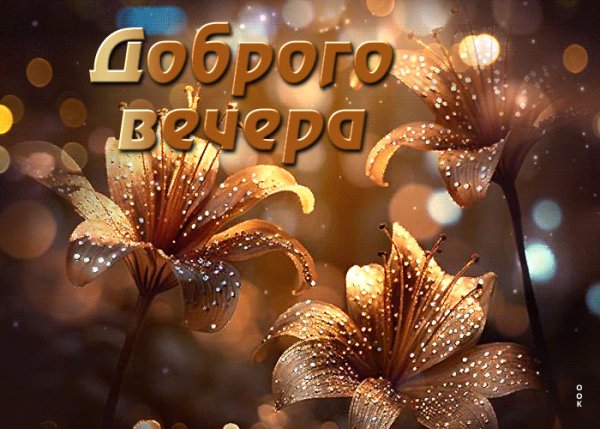 file_99481139