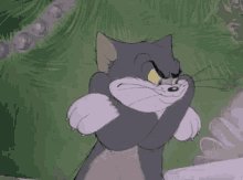 Tom-and-jerry-tom (1)