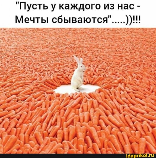44a87cf4e96f0b782a42944a82fbd64f2f0eff06317759de3cf2 1