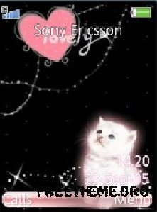 lovely cat