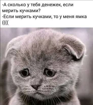 FB IMG 1757358022127