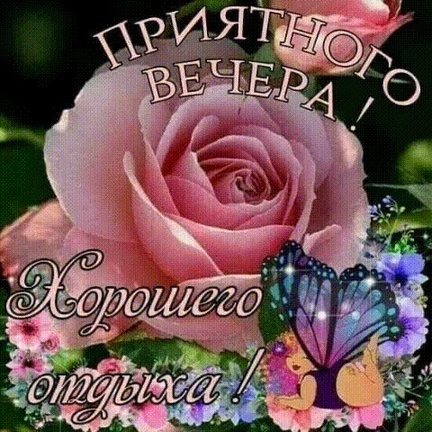 IMG 20200923 071407