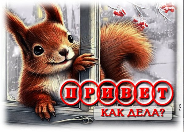 file_99002861
